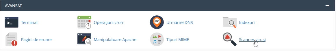 Sectiune Avansat cPanel