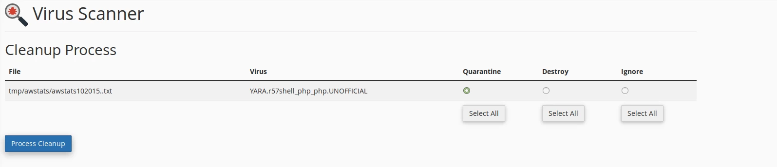 Stergere fisiere infectate
