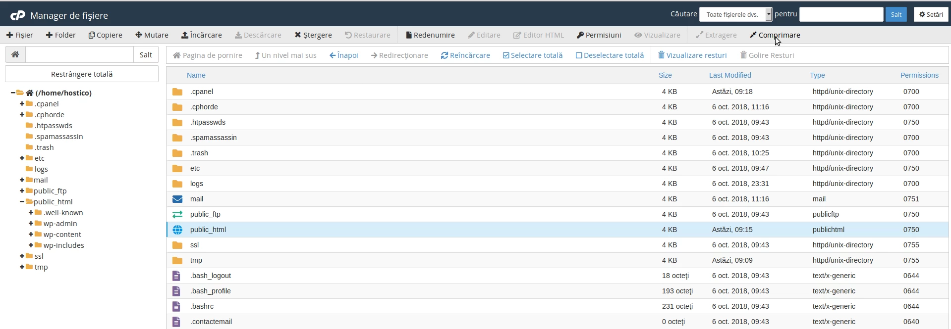 Sectiunea Manager de fisiere