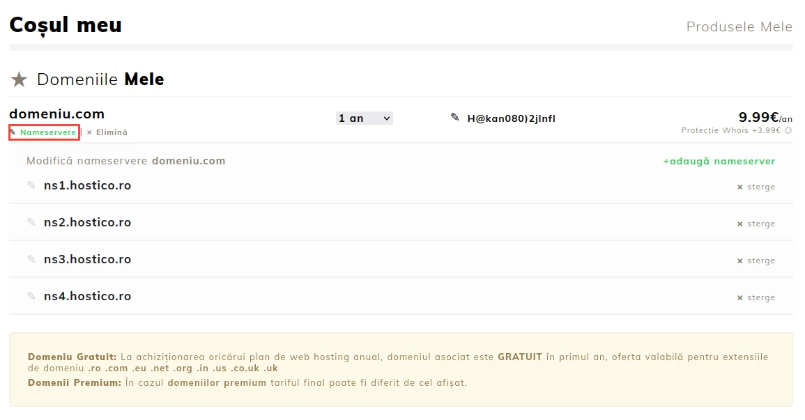 Completare nameservere domeniu